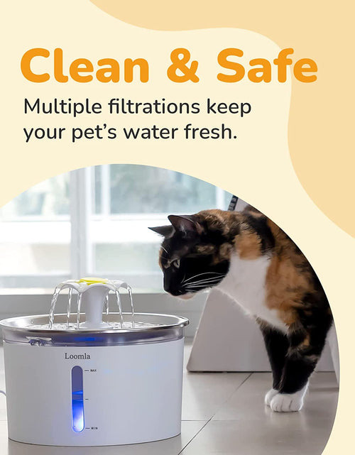 Load image into Gallery viewer, Cat Water Fountain, 85Oz/2.5L Pet Water Fountain Indoor, Automatic Dog Water Dispenser with Switchable LED Lights, 2 Replacement Filters for Cats, Dogs, Pets（Stainless Steel）
